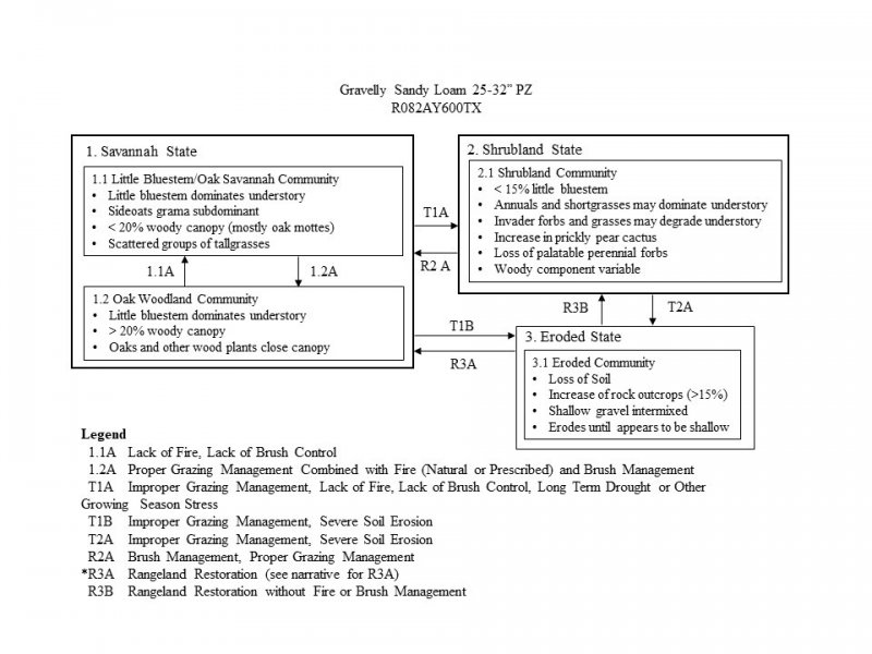Model diagram