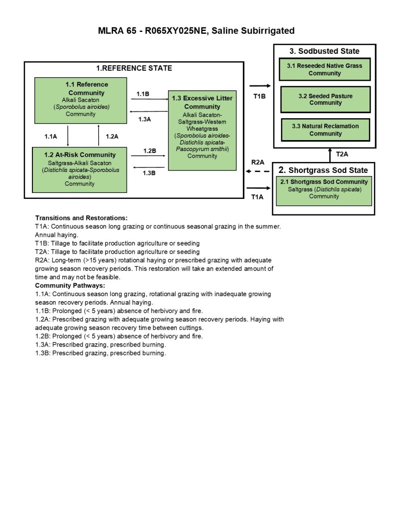 Model diagram