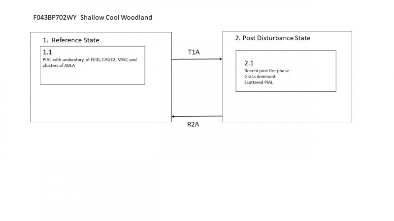Model diagram