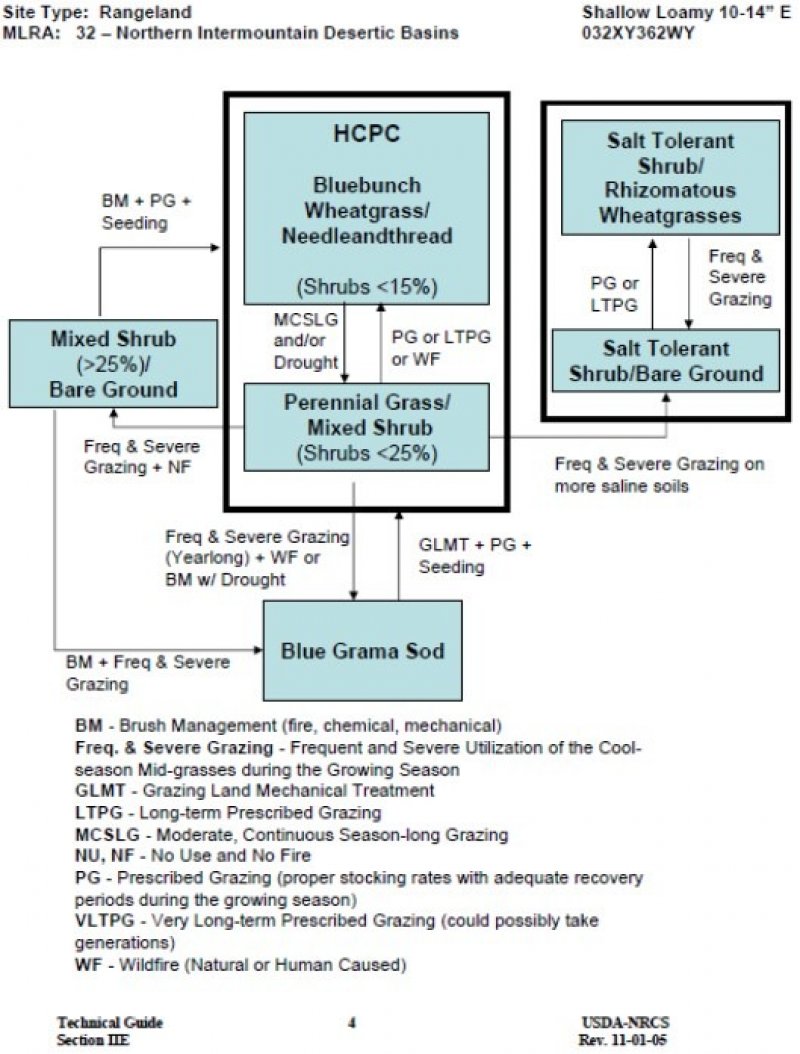 Model diagram