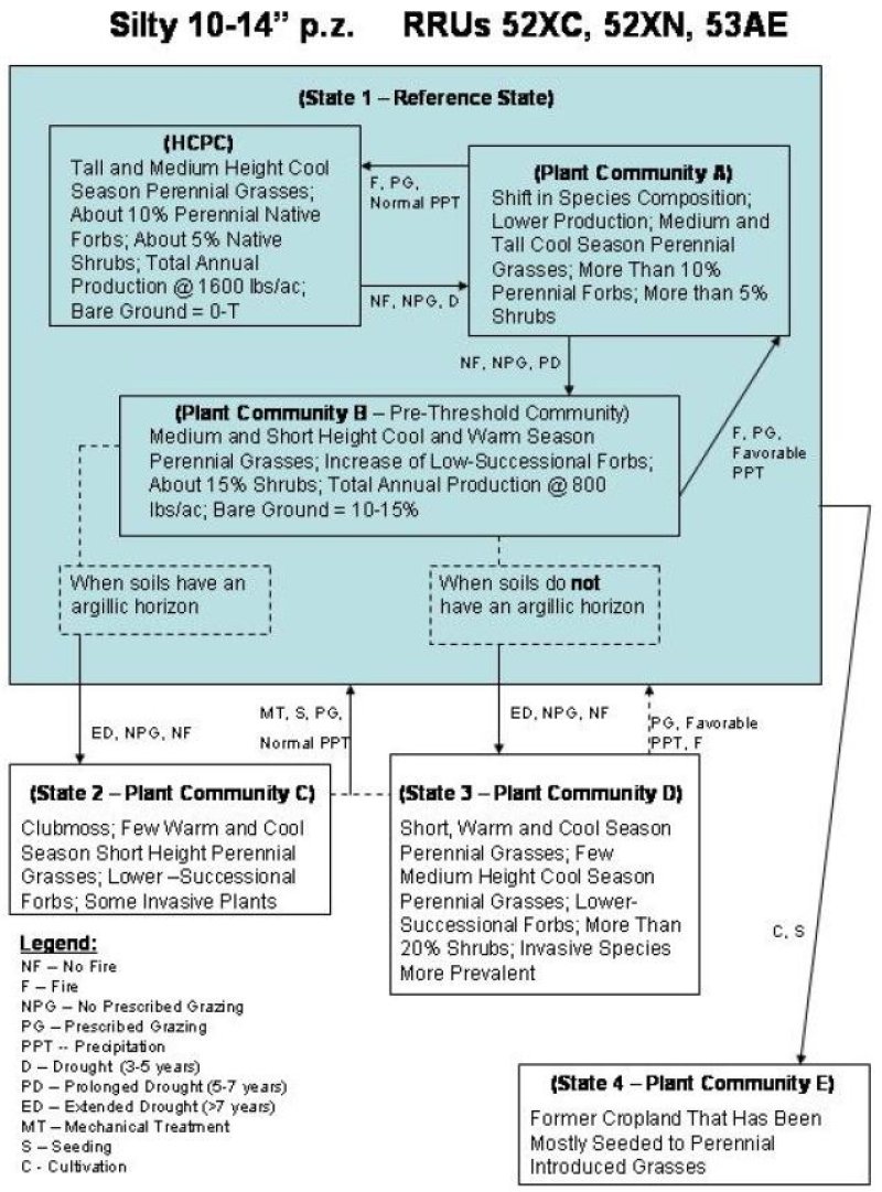 Model diagram