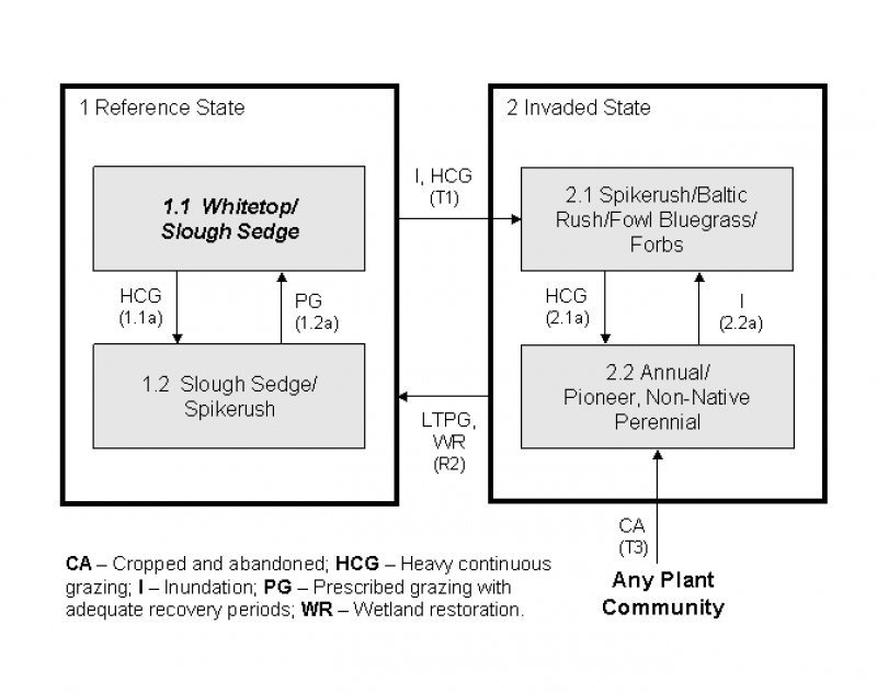 Model diagram