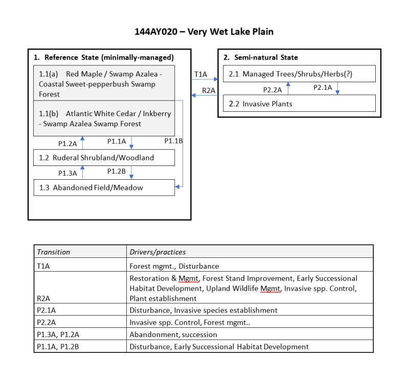 Model diagram