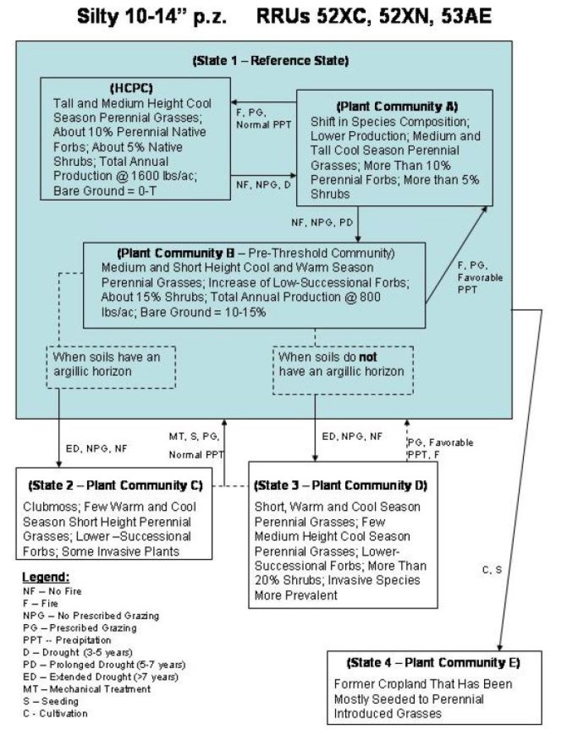 Model diagram