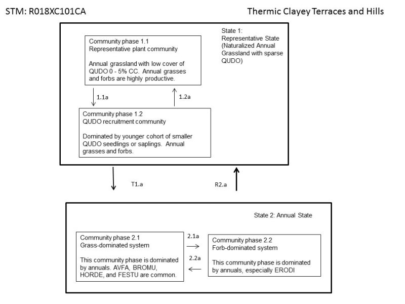 Model diagram