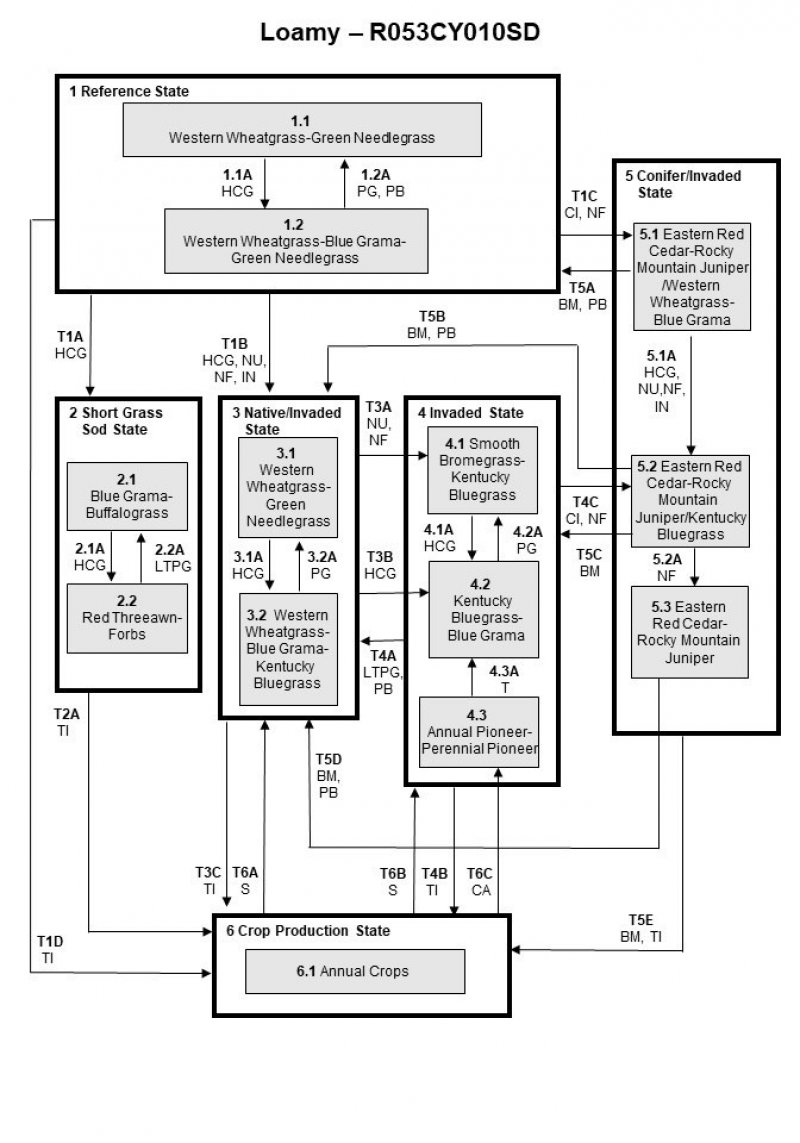 Model diagram