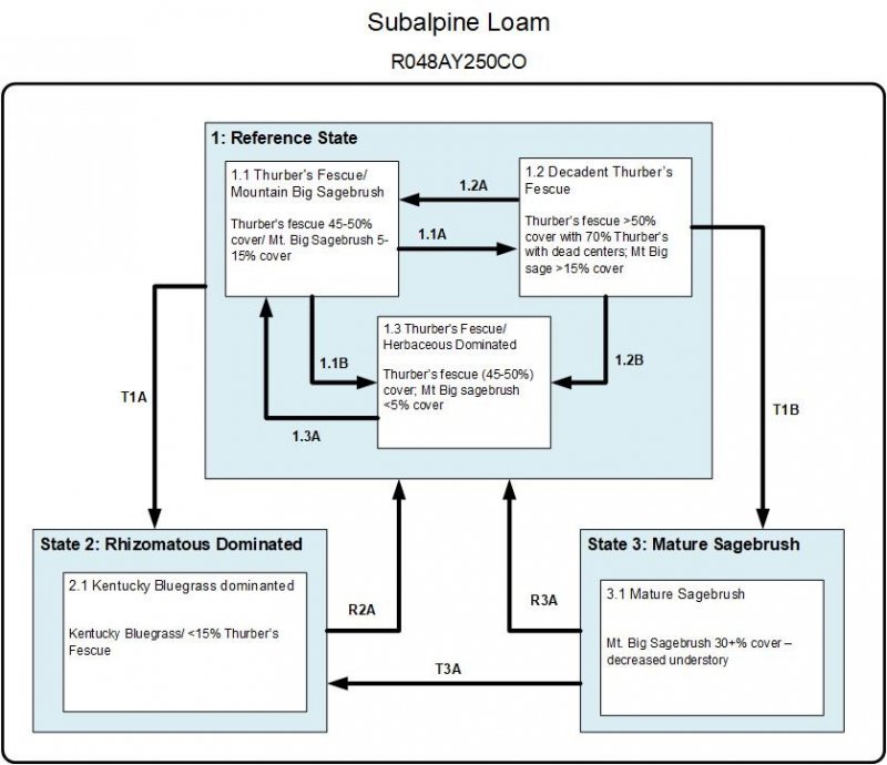 Model diagram