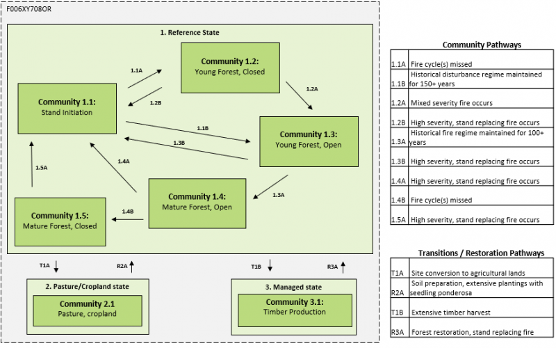 Model diagram