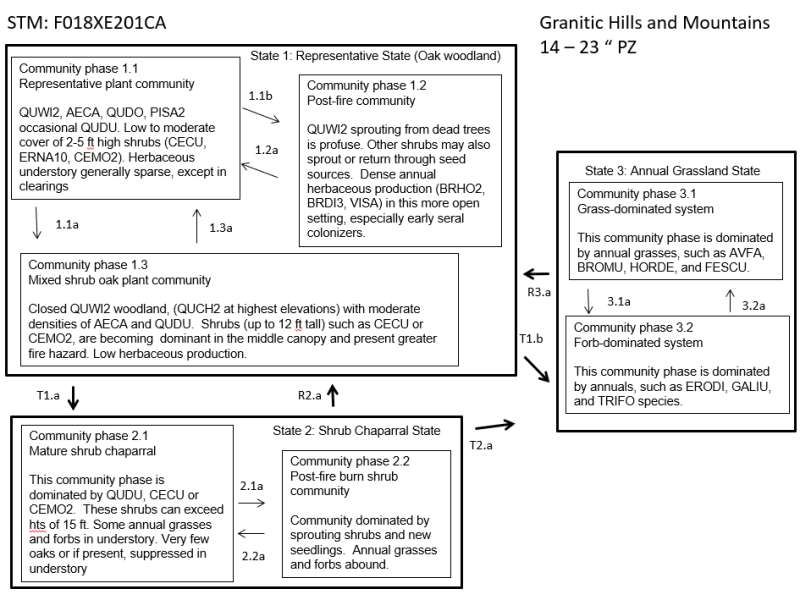 Model diagram