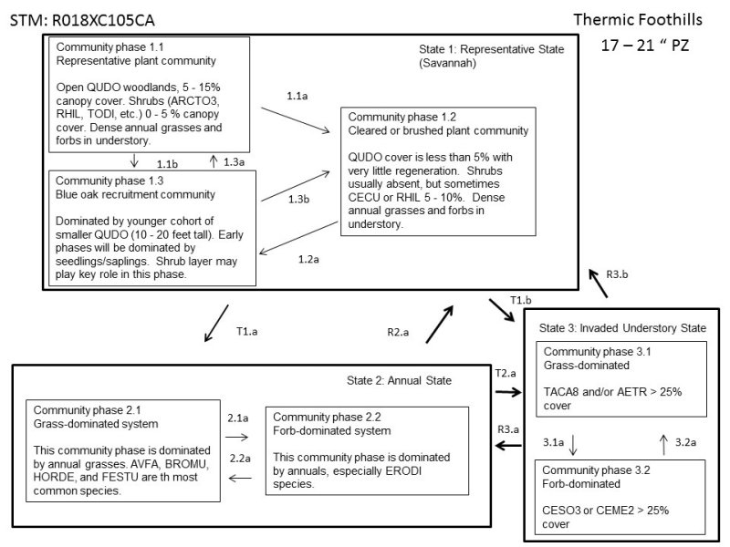 Model diagram