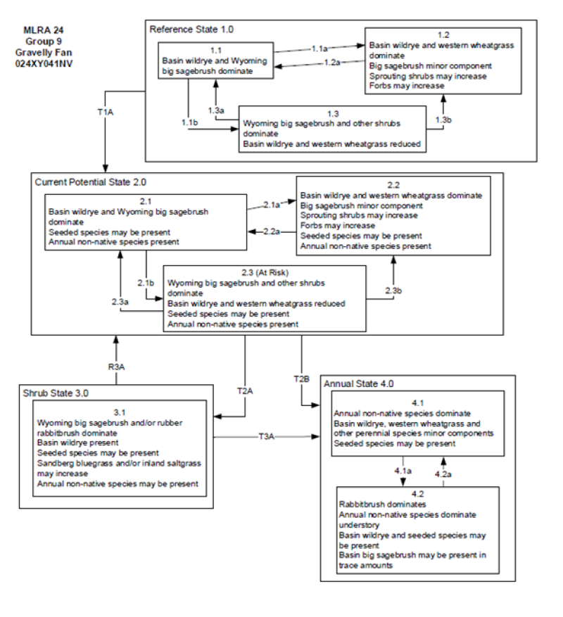 Model diagram