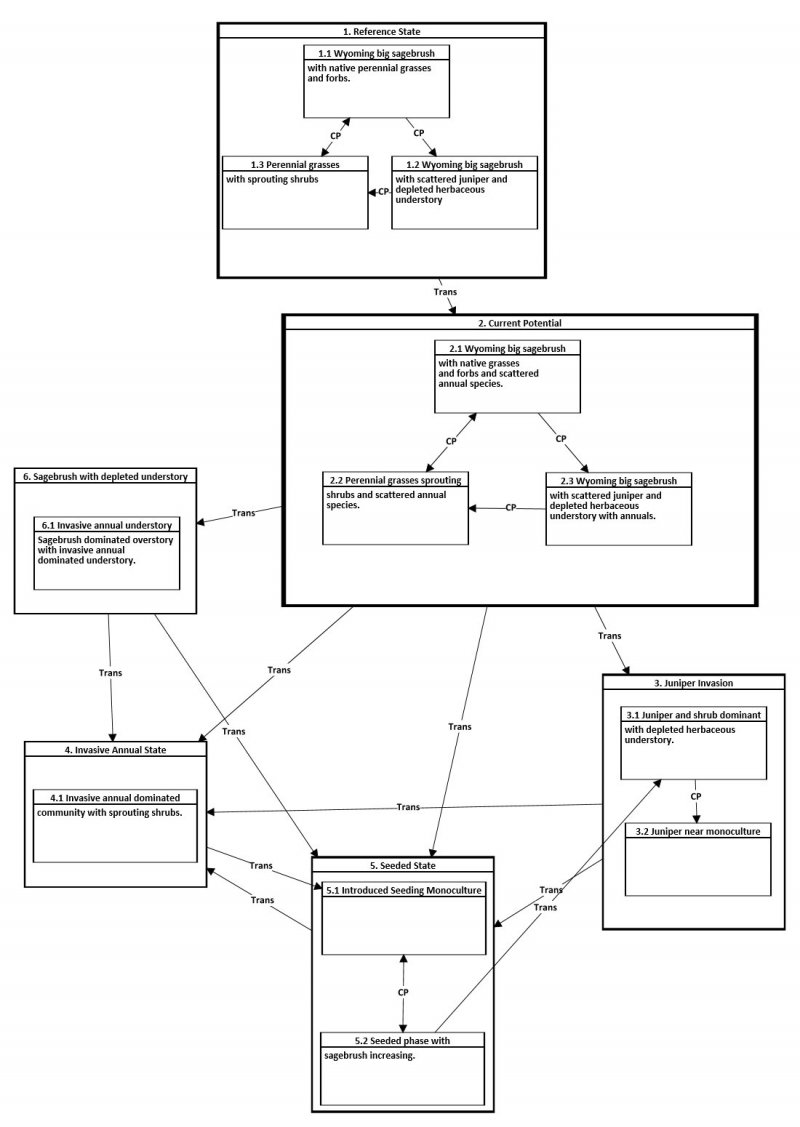 Model diagram