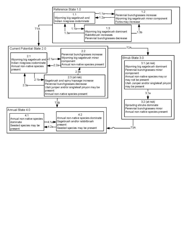 Model diagram