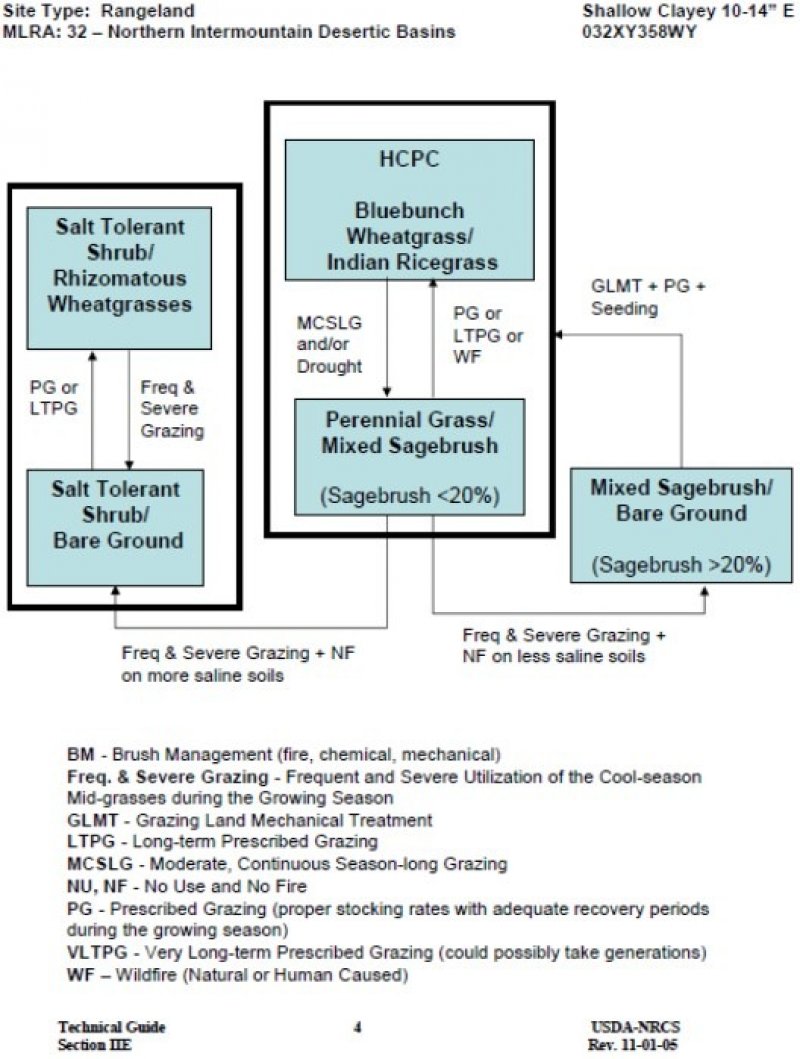 Model diagram