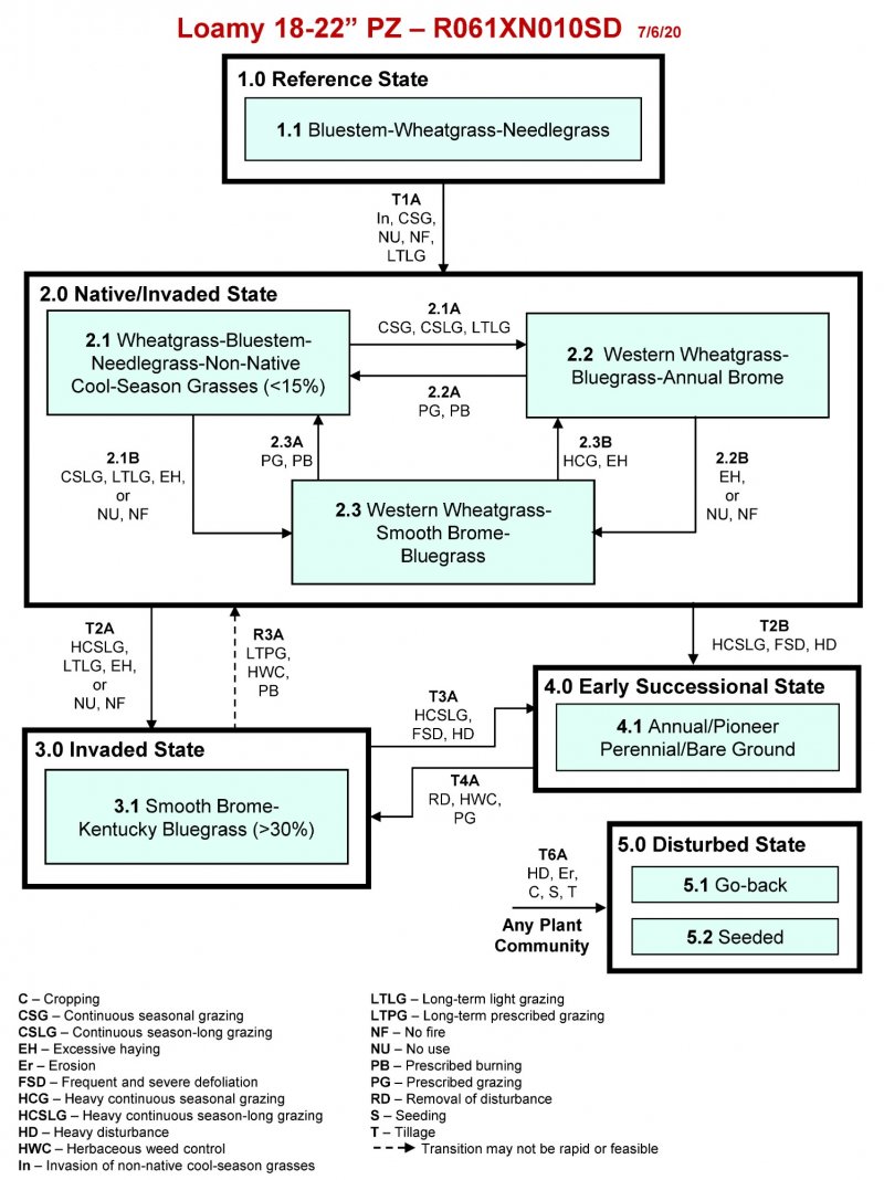 Model diagram