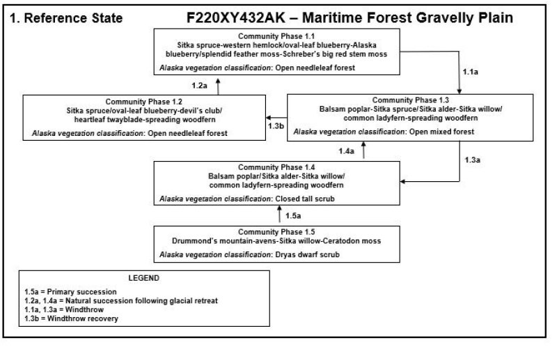 Model diagram