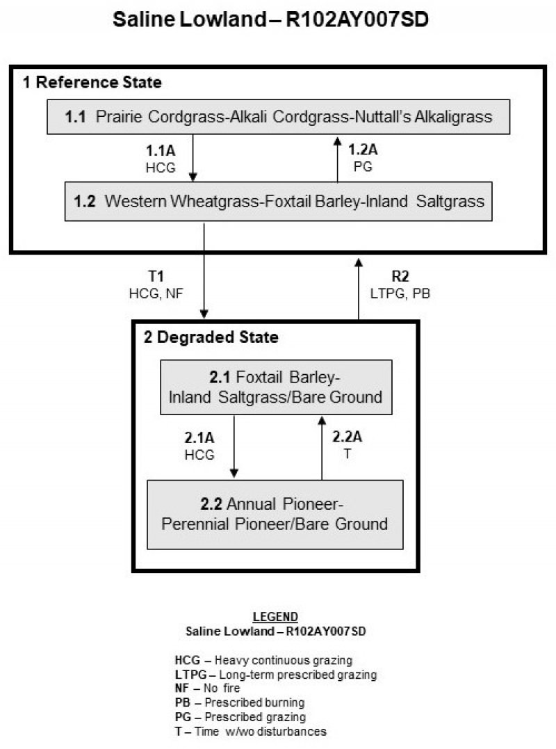 Model diagram