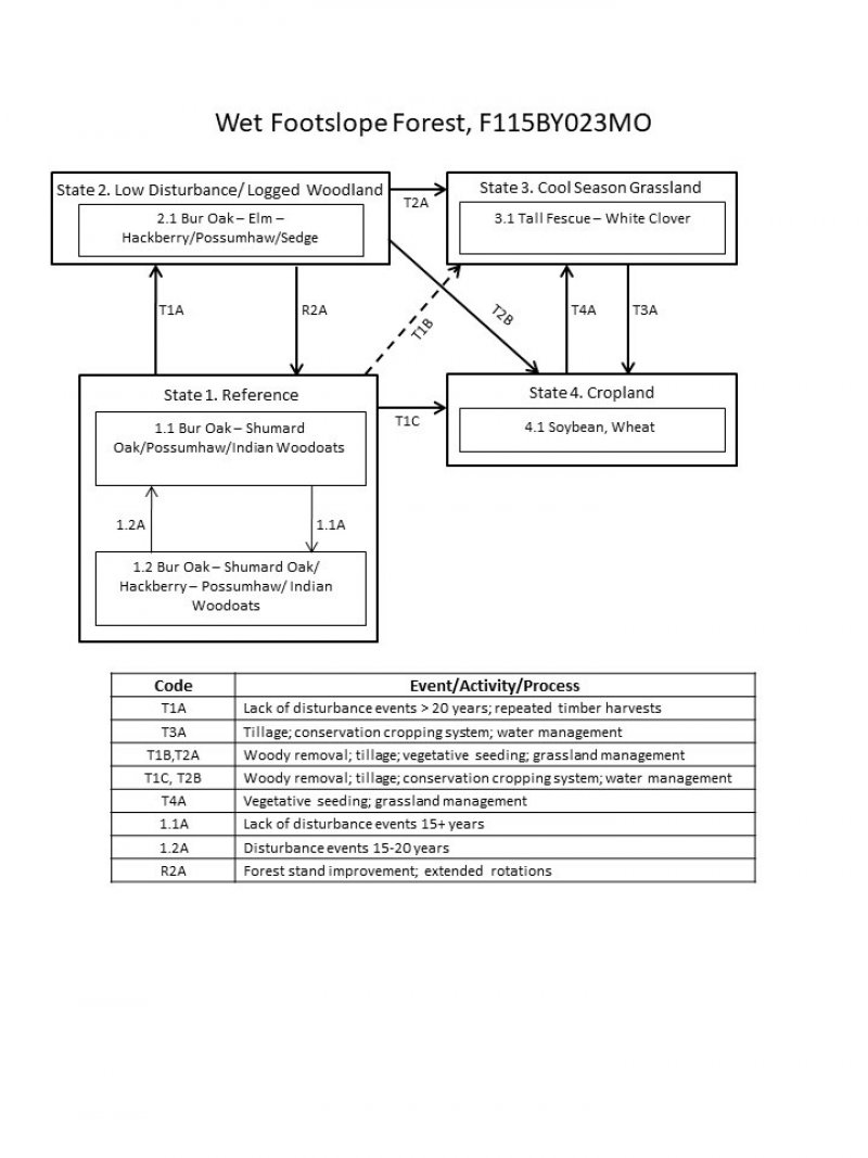 Model diagram