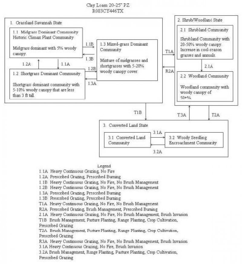 Model diagram