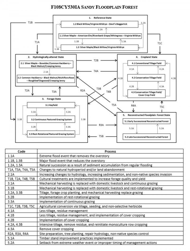 Model diagram