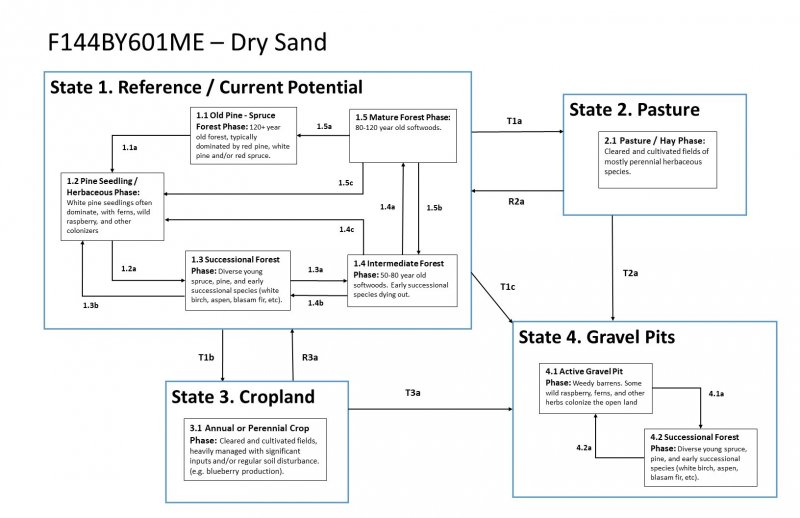 Model diagram