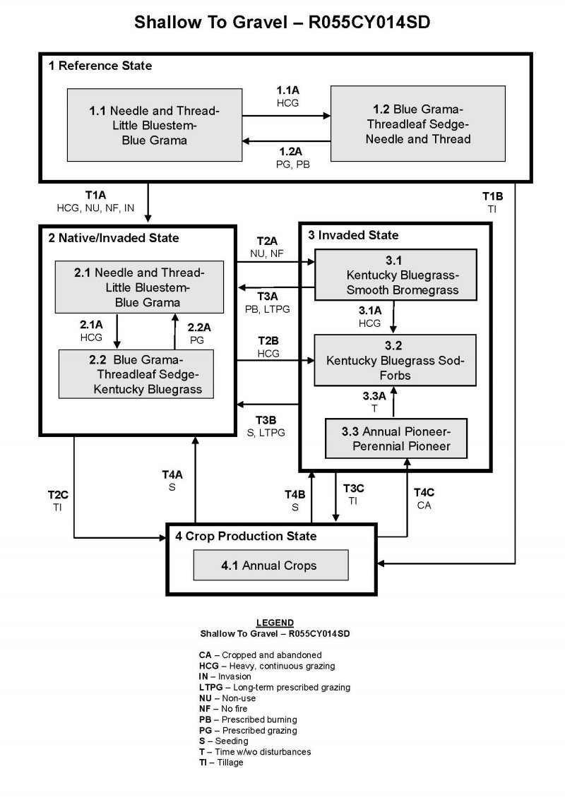Model diagram