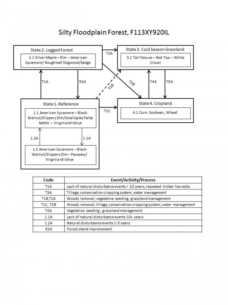 Model diagram