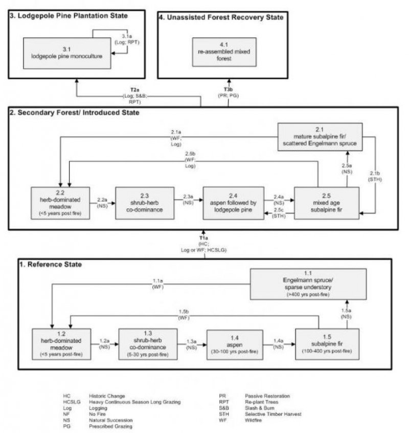 Model diagram