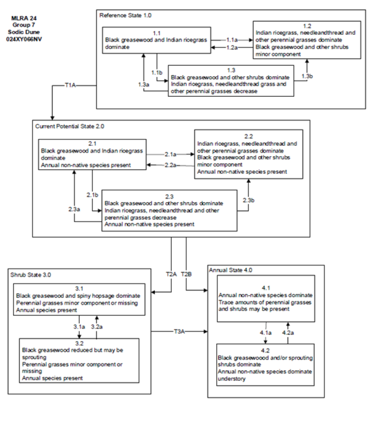 Model diagram