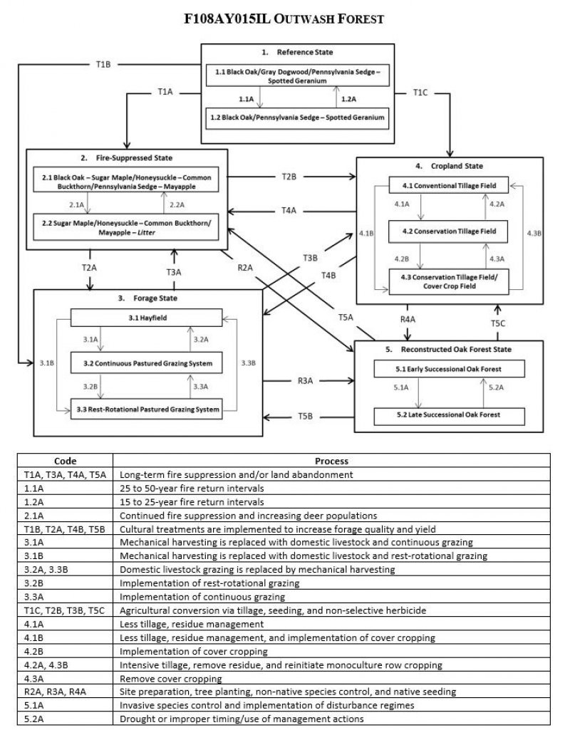 Model diagram