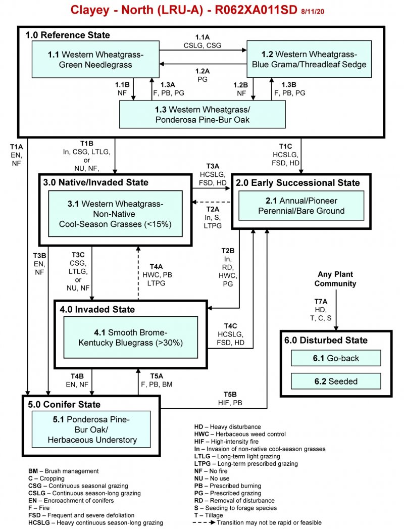 Model diagram