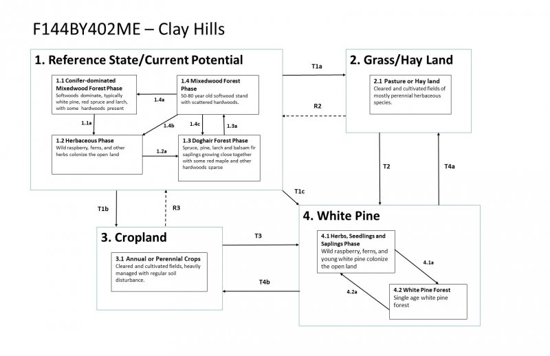Model diagram
