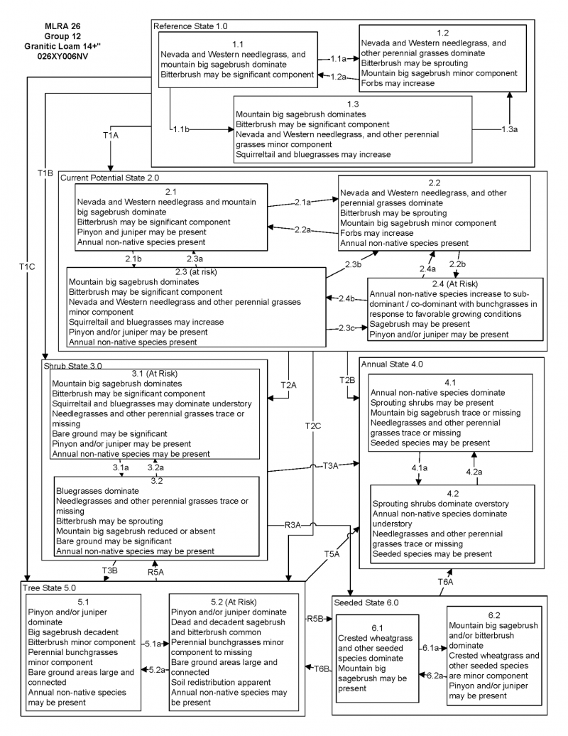 Model diagram