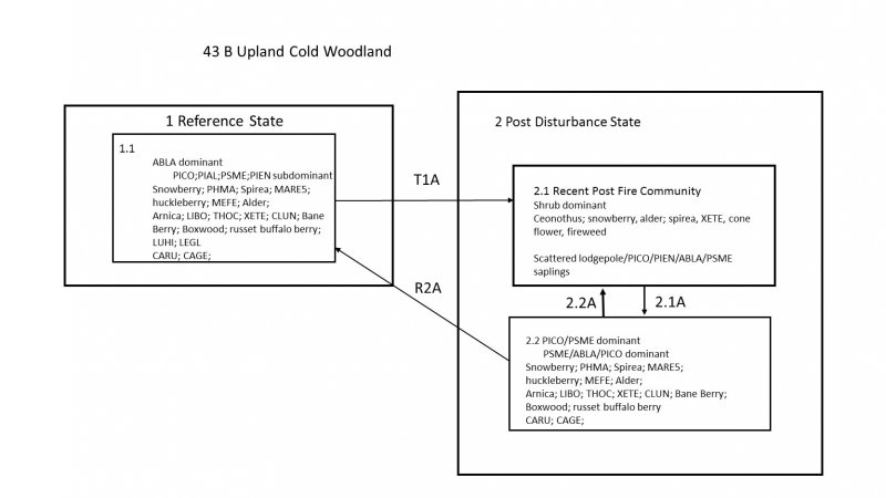 Model diagram