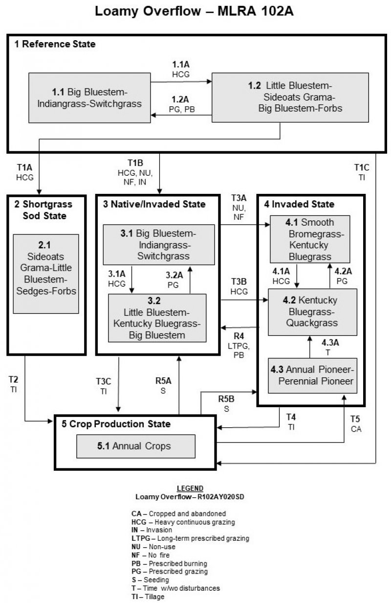 Model diagram