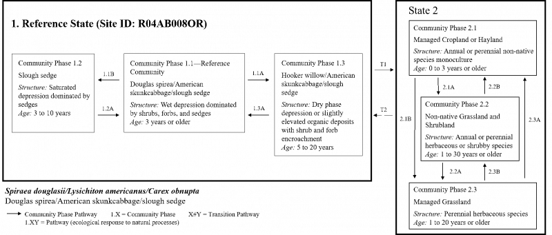 Model diagram