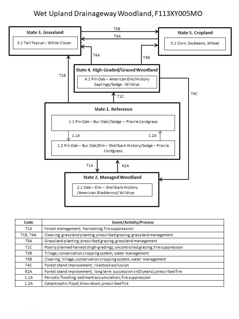 Model diagram
