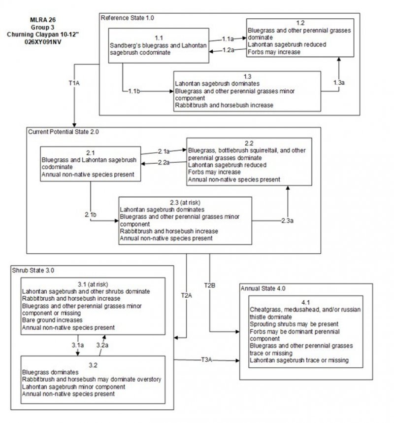 Model diagram