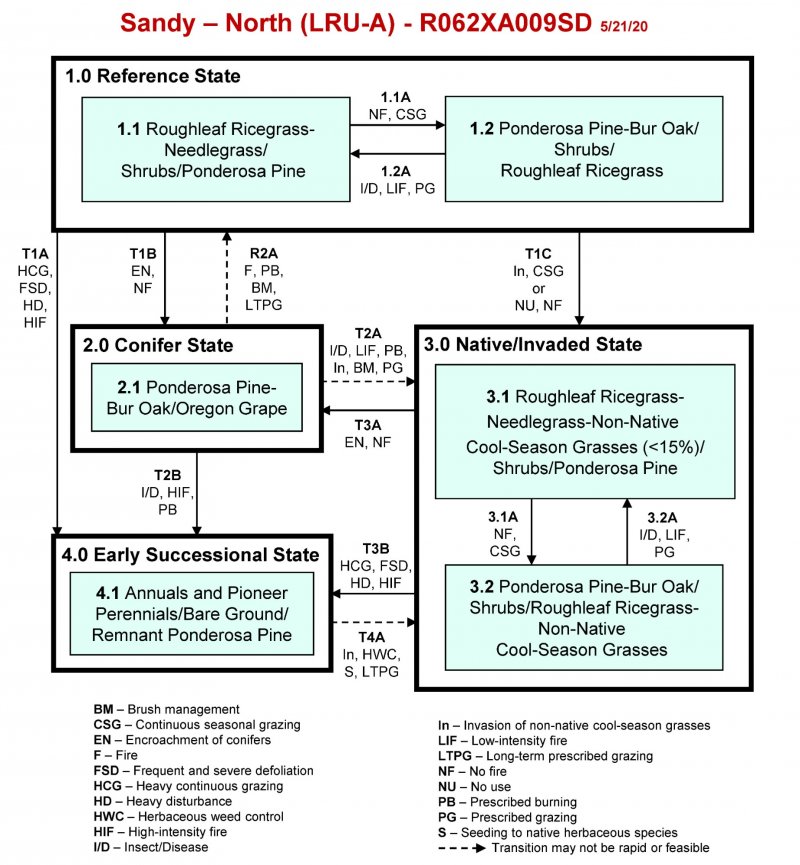 Model diagram