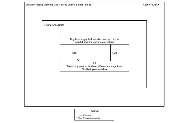 Model diagram