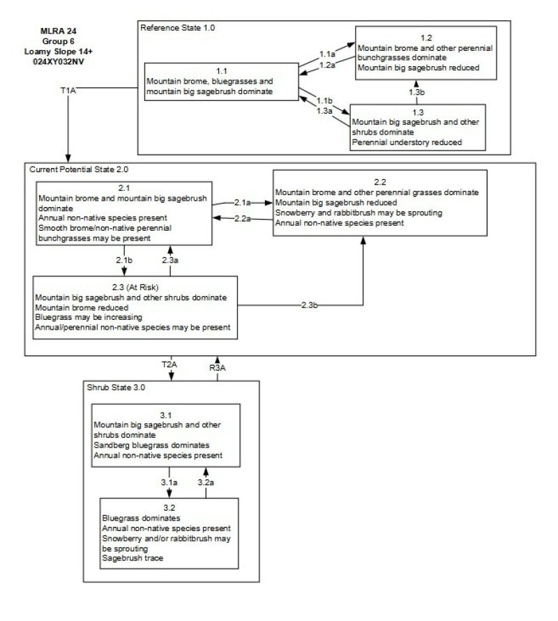 Model diagram