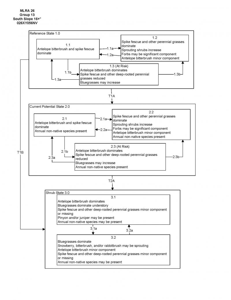 Model diagram