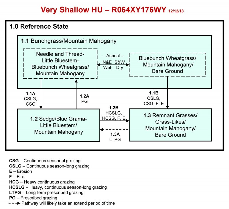 Model diagram