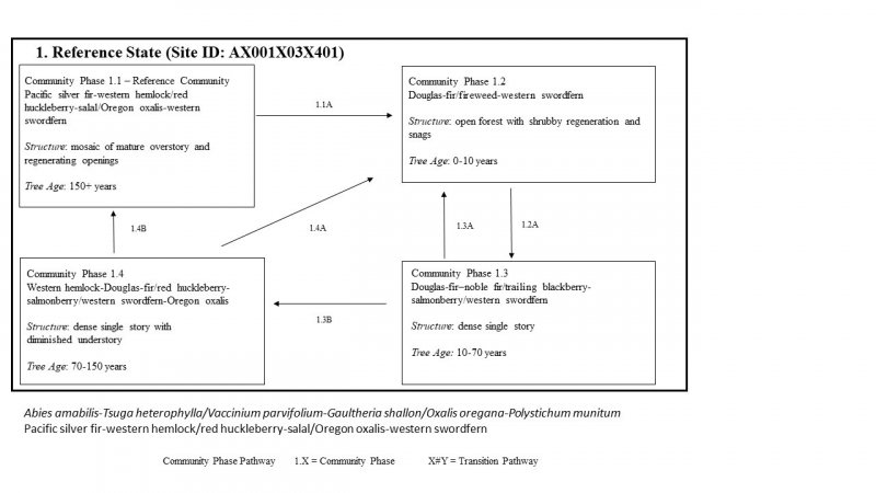 Model diagram