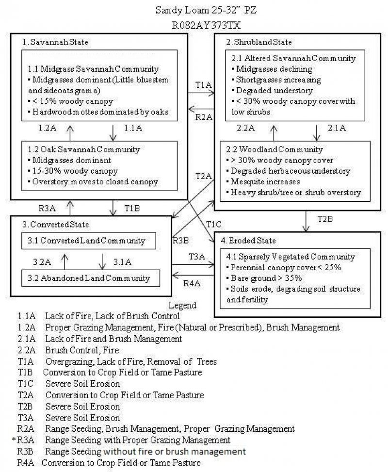 Model diagram