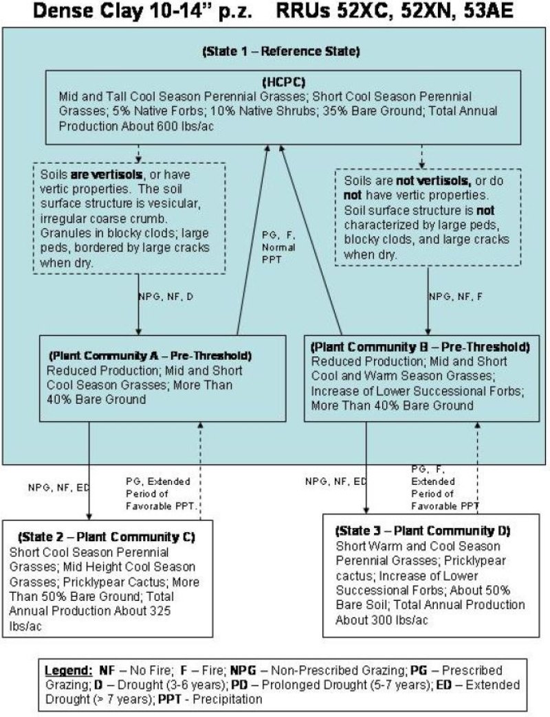 Model diagram
