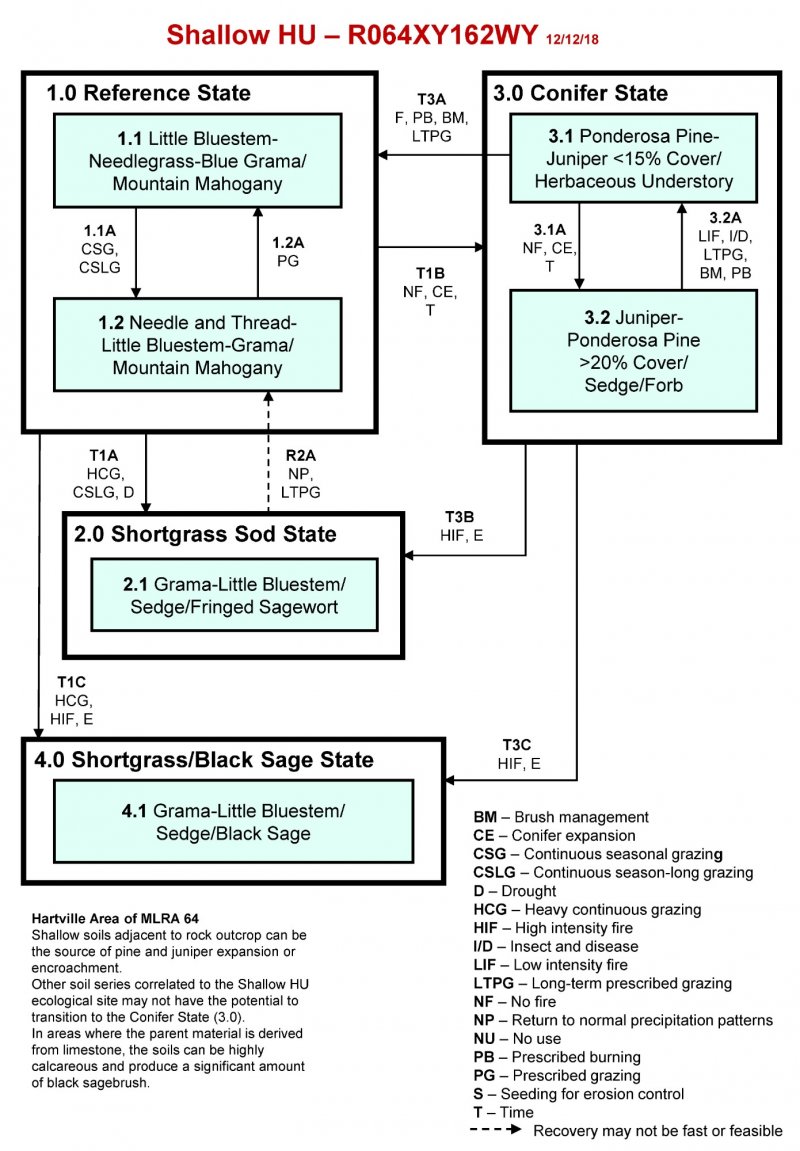 Model diagram