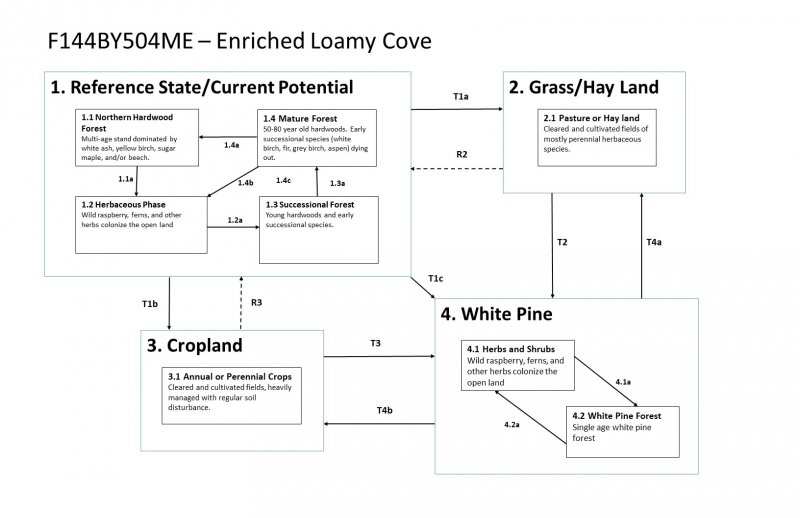 Model diagram