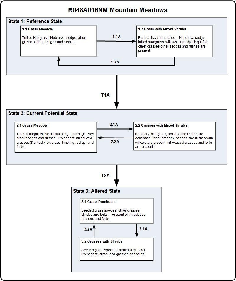 Model diagram