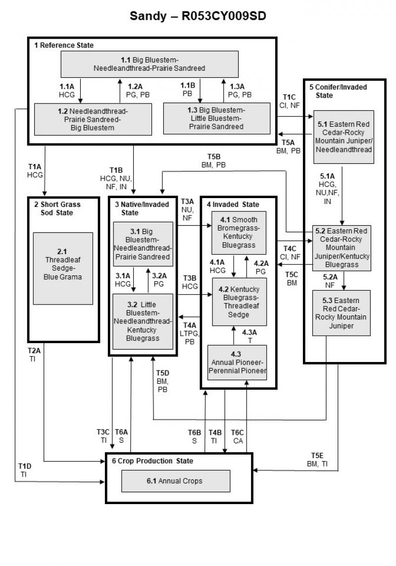 Model diagram